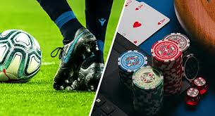 Discover the Features and Benefits of Betwinner Discover the Features and Benefits of Betwinner