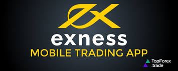 Guide to Transfer Money PayPal to Exness