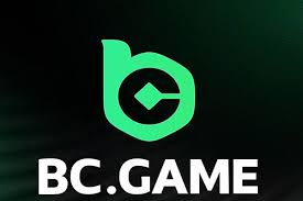 বাংলাদেশে BC Game ক্রিপ্টো ক্যাসিনো 1050089799